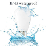 S16 (Enlarged S14) Medium Base LED Decorative Bulb with Internal White Coating, 1W, 2700K, 25 Pack - Luxsent Lighting Corp.