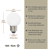 Luxsent Globe G50 Medium Base LED Decorative Bulb with Internal White Coating, 1W, 2700K, 25 Pack - Luxsent Lighting Corp.