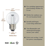 Luxsent Globe G50 Medium Base Clear LED Decorative Bulb with Light Bar, 1W, 2700K, 25 Pack - Luxsent Lighting Corp.